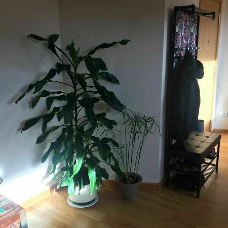 Conde Luna Apartment *